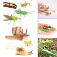 thumbnail image 1 of Simulación Figuras de Animales Macarena Juguetes Saltamontes Caracol Juego de crecimiento de insectos para niños, 1 of 8