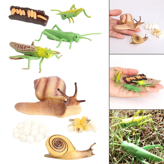 Simulación Figuras de Animales Macarena Juguetes Saltamontes Caracol Juego de crecimiento de insectos para niños