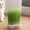 Purple, variant on Fareti Hydroponic Cat Grass Growing Kit with Germination Tray, Indoor Gardening System, Soil-Free Planter Without Seeds
