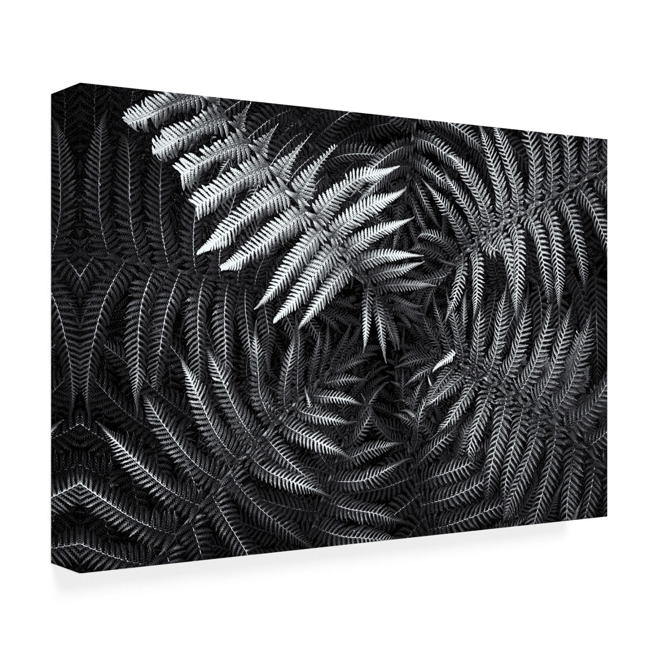 Canvas Wall Art - Gary E. Karcz 'White 56' Wall Art for Living Room, Bedroom, or Office D?cor by Trademark Fine Art - 32 x 22 Inches