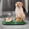thumbnail image 4 of All-in-One Elevated Pet Feeding Bowl – Durable Plastic Dish for Cats and Dogs with Wide Design, 4 of 6