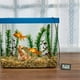 thumbnail image 4 of Juego de 3 termómetros LCD para acuario, termómetro digital digital con sonda resistente al agua para acuario, terrario y vivero Xemadio QH-712, 4 of 6