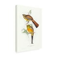 thumbnail image 2 of Trademark Fine Art 'Tropical Trogons VI' Canvas Art by John Gould, 2 of 3