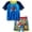 Blue, variant on Paw Patrol Toddler Boys Rash Guard and Swim Trunks Set