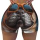 thumbnail image 2 of Fotbe French Bulldog In Sunglasses Shorts Sin Costuras – Shorts Deportivos de Cintura Alta para Mujer, Elásticos para Gimnasio, Yoga, Running o Ciclismo-Medium, 2 of 8