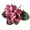 B, variant on TYShandao Magnolia Artificial Flowers