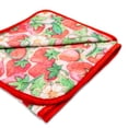 thumbnail image 3 of Strawberry Shortcake "Berry Special" Raschel Throw Blanket | 45 x 60 Inches, 3 of 8