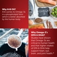 thumbnail image 4 of MegaRed Superior Krill Oil 350mg Omega-3 For Heart Health Omega 3, 120 Softgels, 4 of 9