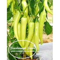 Scarborough Seeds 100 Sweet Banana Pepper Plant Seeds, Germination Tested