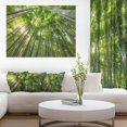 thumbnail image 1 of Design Art - Sommets de Bambou dans la Forêt de Kyoto, 1 of 3