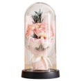 thumbnail image 1 of DJN Home & Garden Elegant Preserved Roses In Glass Dome With Warm LED Light – A For All Occasions, 1 of 9