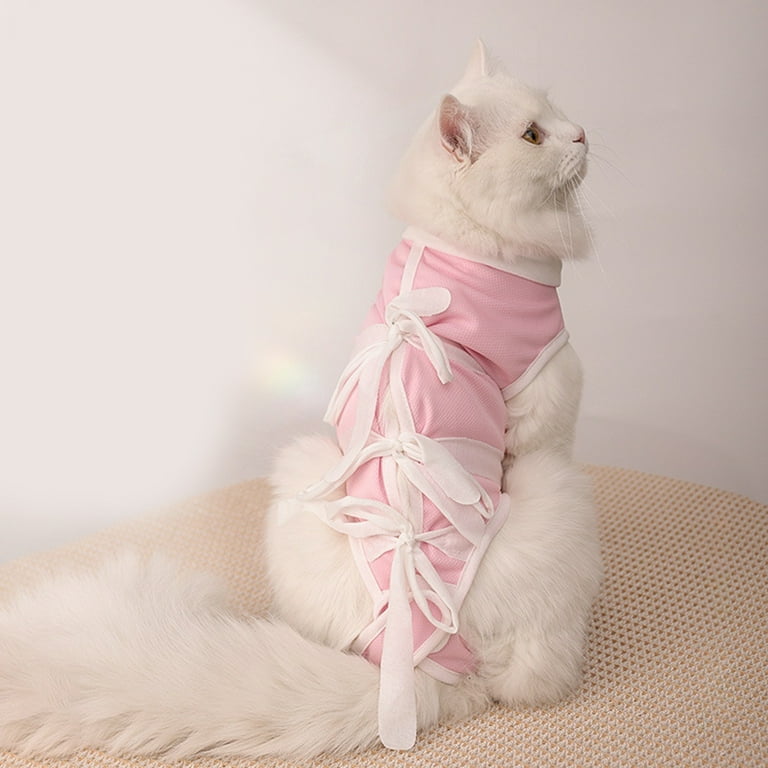 Cat t clearance shirt after surgery