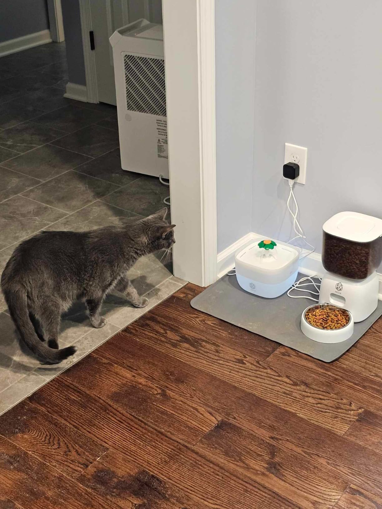 Automatic Cat Feeder and Water Dispenser Set with Pet Food Bowl, Smart Cat Food Timer Automatic Feeder, Locking Lid, Voice Recorder (Black)