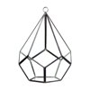 WGV Undecahedron Tear Drop Geometric Terrarium - 7" Wide x 9" Height, Good quality Terrarium - 1 Pc