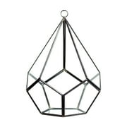 WGV Undecahedron Tear Drop Geometric Terrarium - 7" Wide x 9" Height, Good quality Terrarium - 1 Pc