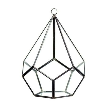 WGV Undecahedron Tear Drop Geometric Terrarium - 7" Wide x 9" Height, Good quality Terrarium - 1 Pc