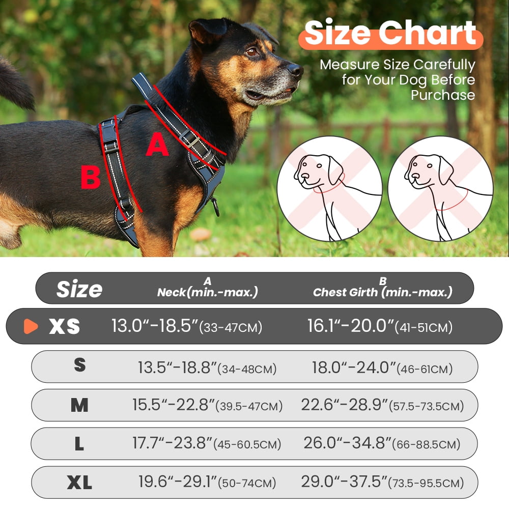 MASBRILL Reflective No-Pull Dog Harness with Handle, Breathable & Adjustable for Small Dog Blue XS