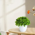 thumbnail image 3 of Realistic Artificial Plant Energetic Decorative Vivid UV-resistant Desktop Ornament Fake Bonsai Office Decor, 3 of 7
