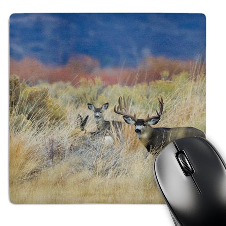 3dRose Mule Deer Buck with Does MousePad