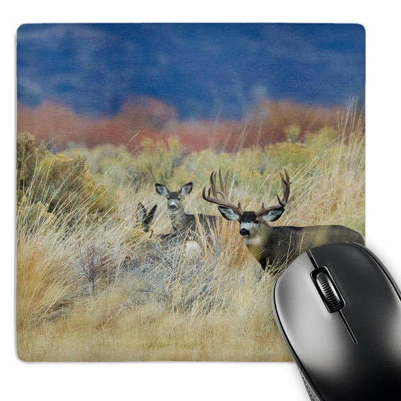 3dRose, Mule Deer Buck with Does, MousePad