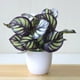thumbnail image 5 of Hojas de plantas Artificiales en maceta Yuarrent tipo de Planta 2 22 * 20 cm, 5 of 6