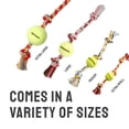 thumbnail image 4 of Mammoth Flossy Chews Cottonblend 3 Knot Tug Rope Dog Toy with Mini Tennis Ball, Mini 11", 4 of 9