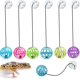 thumbnail image 1 of 7 Pack Bearded Dragon Toy Kring Ball, Reptile Lizard Toy Ball, Random Colors, 1 of 4
