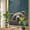 Green, variant on Bear Window Privacy Film, Farmhouse Rustic Animals Wooden Texture Stained Glass Rainbow Film Decorative Window Clings, Static Cling Sun Blocking Stickers 17.7" x 39.3"