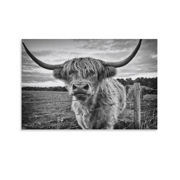 Black And White Highland Cattle Poster Decorative Painting Canvas Wall Art Living Room Posters Bedroom Painting,Unframe-style,08x12inch(20x30cm)