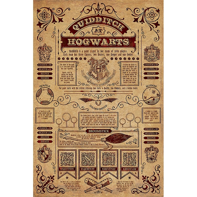 Harry Potter - Movie Poster / Print (Quidditch At Hogwarts) (Poster &  Poster Strip Set)