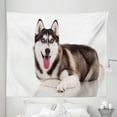 thumbnail image 1 of Alaskan Malamute Tapestry, Funny Siberian Dog Blue Eyes Furry Domestic Canine Image, Fabric Wall Hanging Decor for Bedroom Living Room Dorm, 5 Sizes, Brown Cream White, by Ambesonne, 1 of 1
