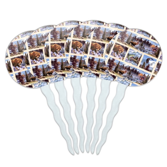 Rocky Mountain Outdoors Panels Pattern Cupcake Picks Toppers Decoration Set of 6