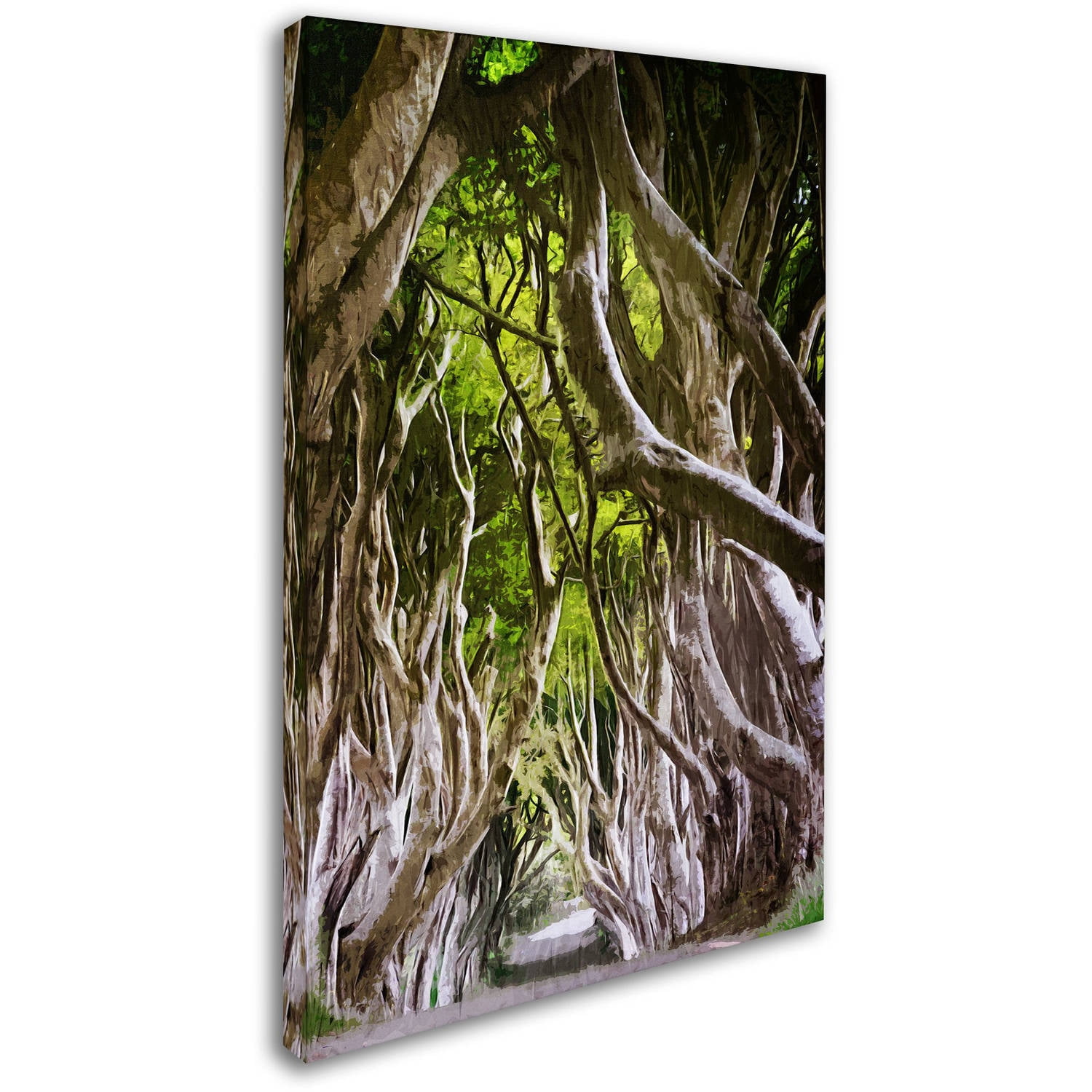 Trademark Fine Art "King of the Woods" Canvas Art by Philippe Sainte-Laudy