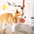 thumbnail image 4 of Juguetes De Cuerda Para Mascotas Morder Paquete De 10 Piezas, 4 of 5