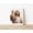 Rolled Canvas, variant on Jesus ASL ILY Art, Christian Deaf Culture Wall Art