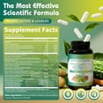 thumbnail image 7 of Akkermansia Probiotic Capsules | GLP-1 Supplement with Probiotics 15B CFU, Ceylon Cinnamon, Turmeric - 60 Capsules, 7 of 7