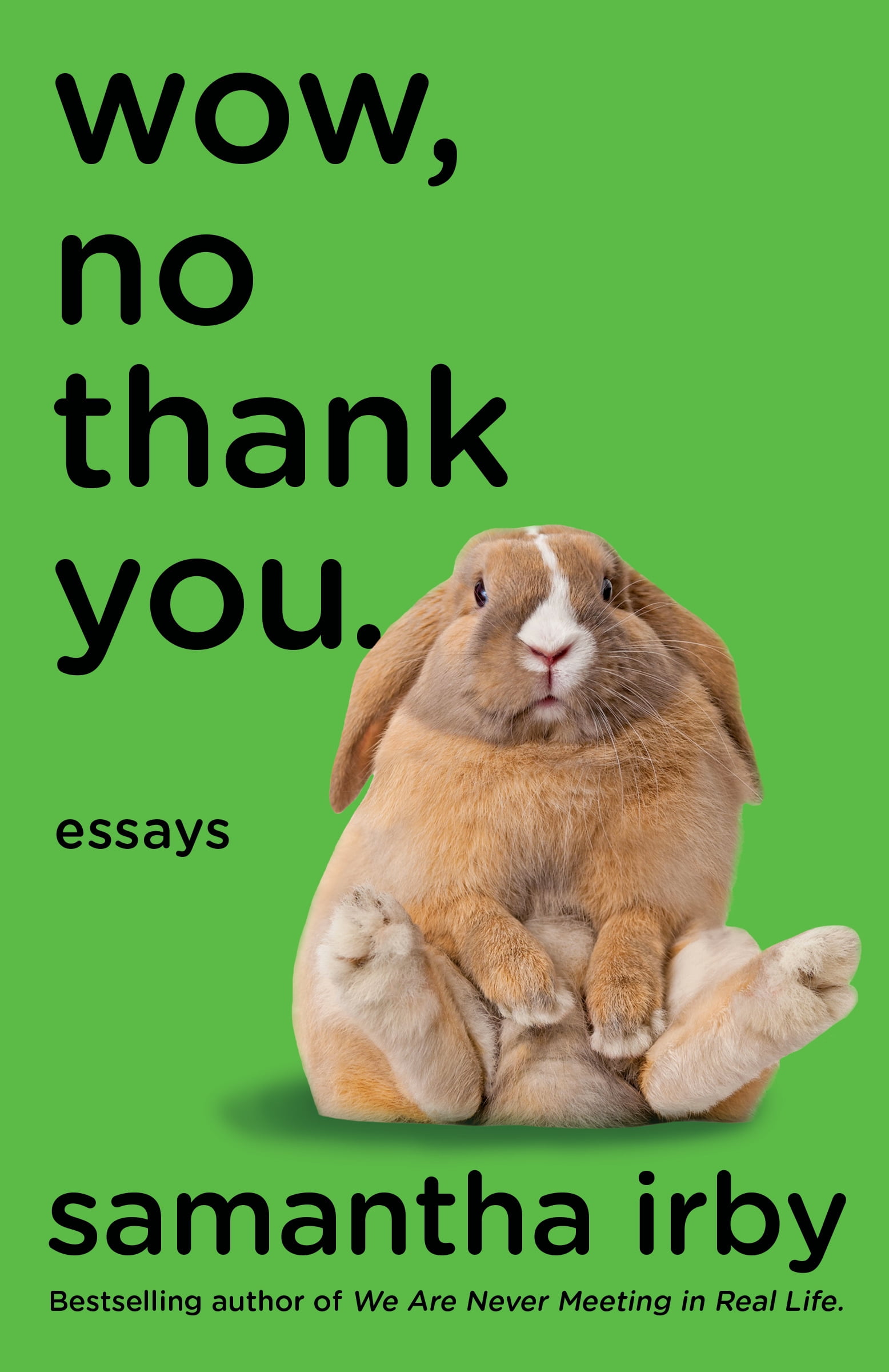 wow no thank you essays wow no thank you essays