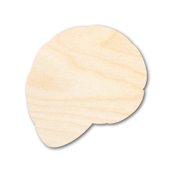 Unfinished Wood Shell Shape | DIY Craft Cutout 4" / 1/4"
