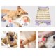thumbnail image 5 of Camisa de Manga Protectora para Perros de Razas Medianas y Grandes Prevención de Lágrimas y Heridas Ligera y Transpirable Ideal para Uso en Exteriores e Interiores, 5 of 7