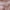 Pink, variant on IDALL Summer Dresses,Maxi Dresses Women's New Summer Casual Bohemian V-neck Waist And Swinging Beach Banquet Dress Boho Dresses,Sundresses for Women,Casual Dresses Blue Dress L