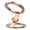 Gold, variant on ZJNGJC Double-Sided Fidget Spinner Stand, 360Â° Foldable Phone Grip Holder with Dual Rings, Compatible Kickstand for 12-17, Samsung Desk Car Gym Travel, Gold