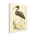 thumbnail image 2 of Trademark Fine Art 'Water Birds II' Canvas Art by H. L. Meyer, 2 of 4