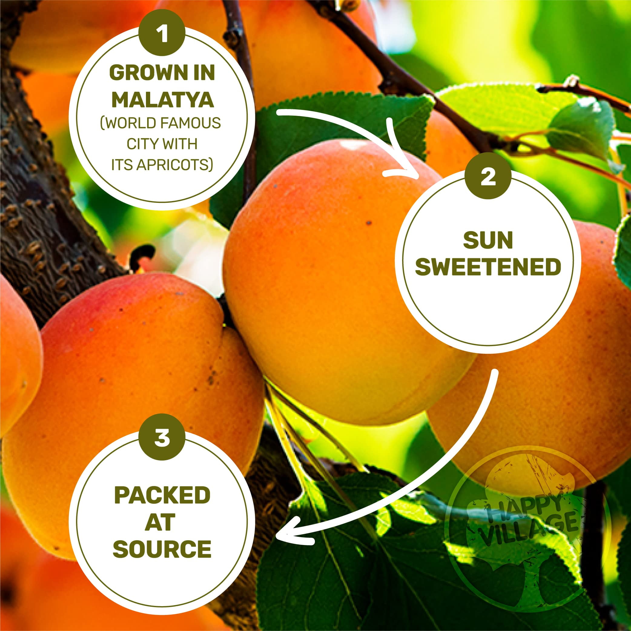 Happy Village Organic Sun-Dried Apricots, 40-Ounce