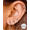 Silver, variant on 5 Pairs 14K Gold Filled Stainless Steel Huggie Earrings, Small Hoop Set, 6–14mm, for Women