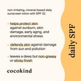 Cocokind Daily SPF, Face Sunscreen, Mineral Sunscreen with Zinc Oxide, Unscented, Reef Safe