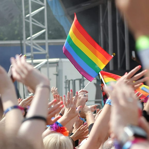 WHAMVOX 20Pcs Handheld Rainbow Flags Gay Pride Rainbow Flags Flags Small Parade Rainbow Flags