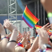 WHAMVOX 20Pcs Handheld Rainbow Flags Gay Pride Rainbow Flags Flags Small Parade Rainbow Flags