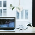 thumbnail image 3 of MasteelfCA Glass Hanging Planter Water Plant Container Flower Pot Terrarium Container, 3 of 9
