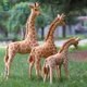 thumbnail image 2 of 50-140cm Giant Real Life Giraffe Plush Toys Cute Stuffed Animal Soft Giraffe Doll Birthday Gift Kids Toygiraffe120cm Deng Xun unisex, 2 of 2