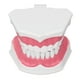 thumbnail image 4 of Modelo de Diente, Modelo de Dientes Cepillado de Dientes Modelo de Diente Humano Modelo de Enseñanza Dental Solución Innovadora NikouMX herramienta, 4 of 8